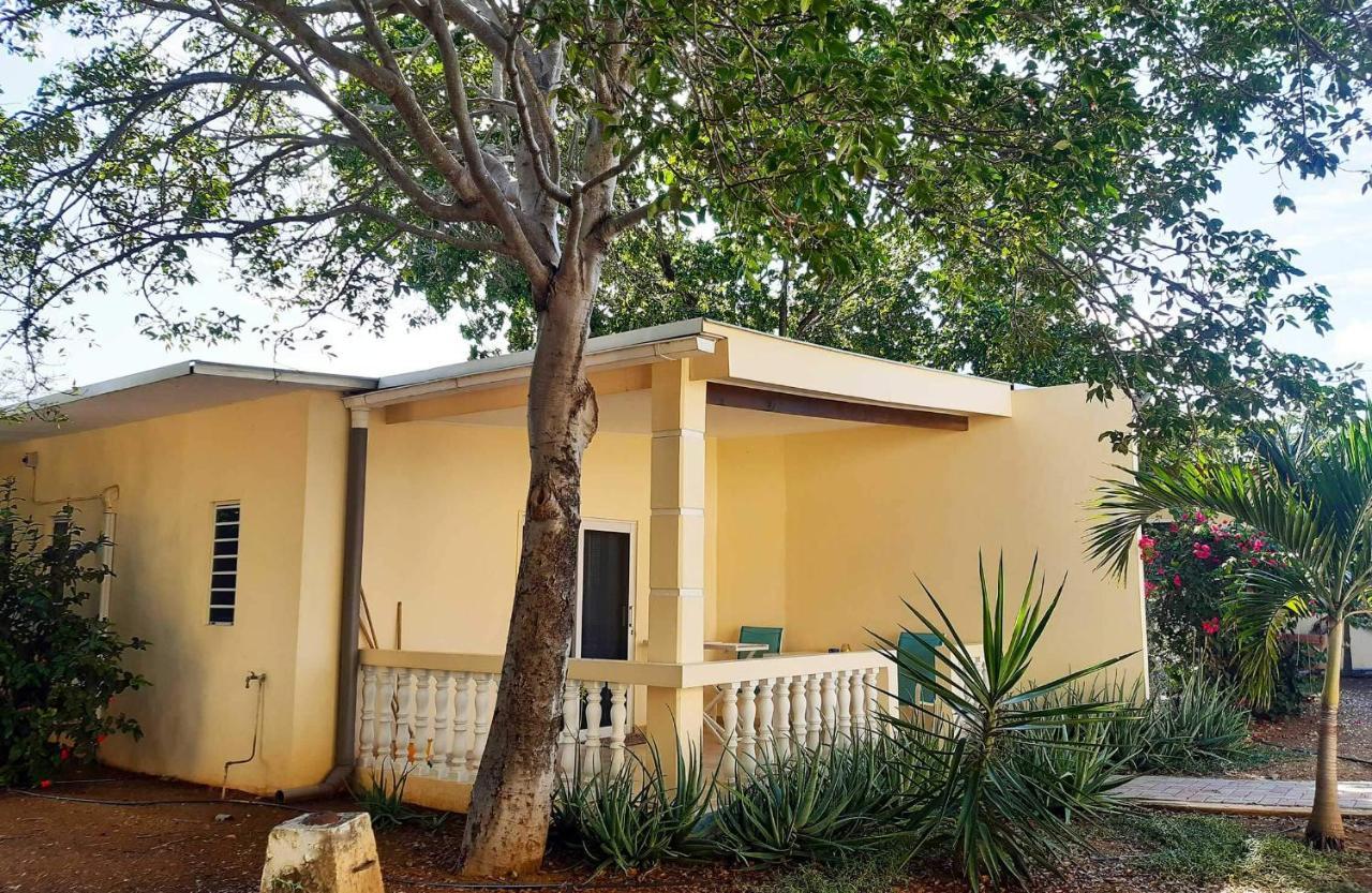 Wayaca Mini Resort Willemstad Ngoại thất bức ảnh